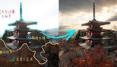 pc蛋蛋